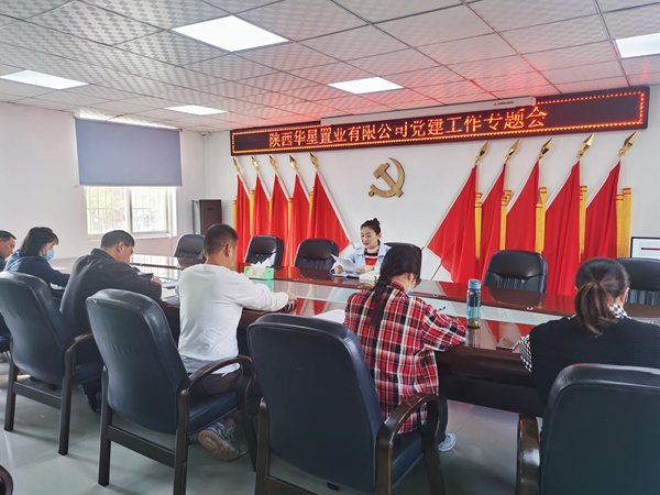華星置業(yè)：組織召開(kāi)黨建工作專(zhuān)題會(huì )